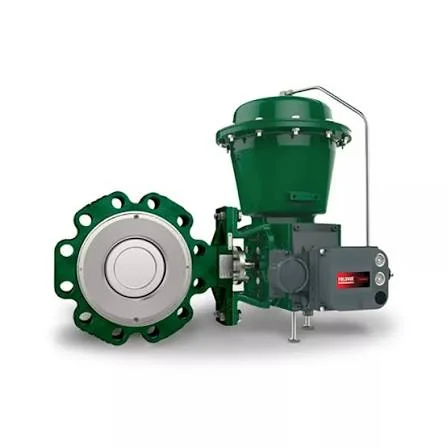 Foto Fisher 8580 High Performance Butterfly Valve Original