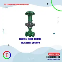 Fisher EZ Control Valve - Katup Kontrol Globe